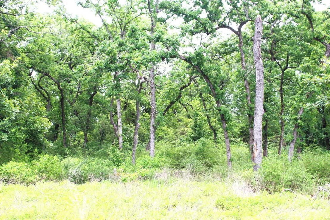 Photo of Tract 174 Pr 1311