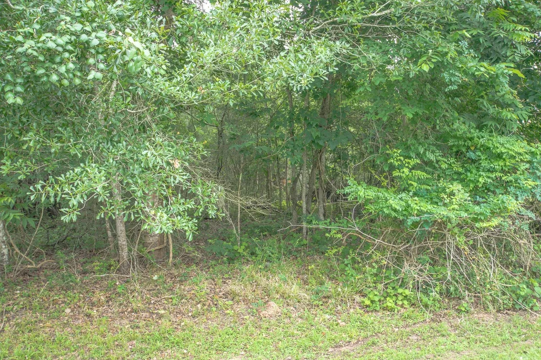 Photo of 1015 W Point Drive