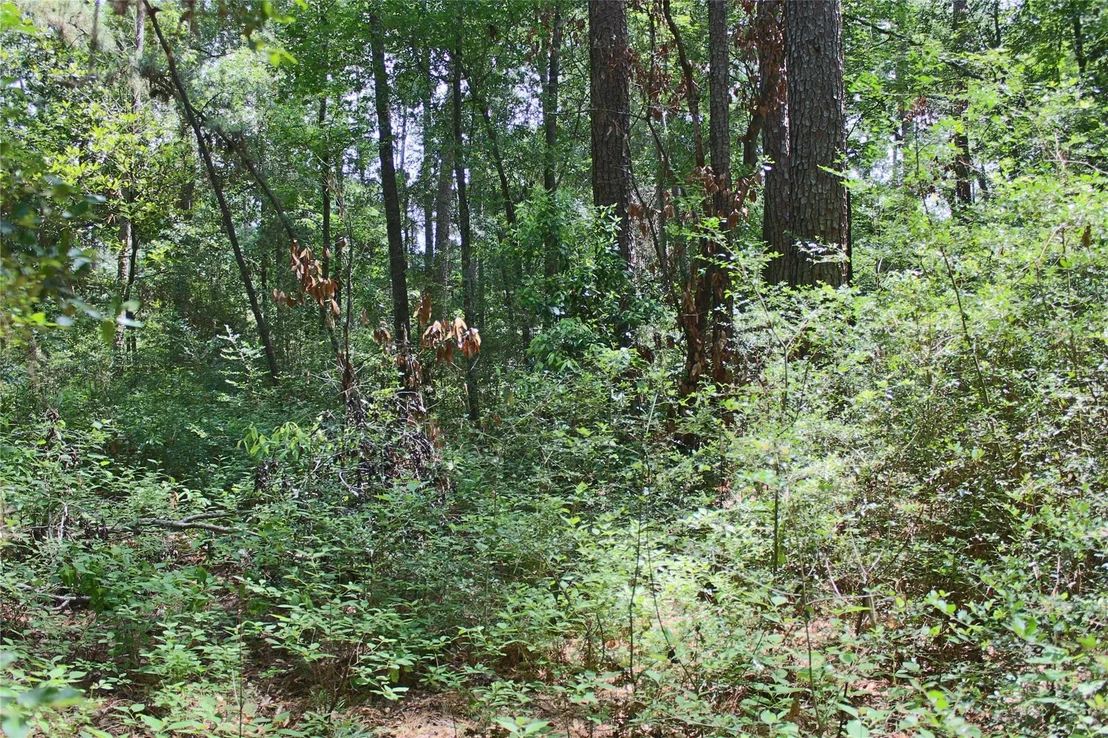 Photo of 10362 Hunter Creek Lane