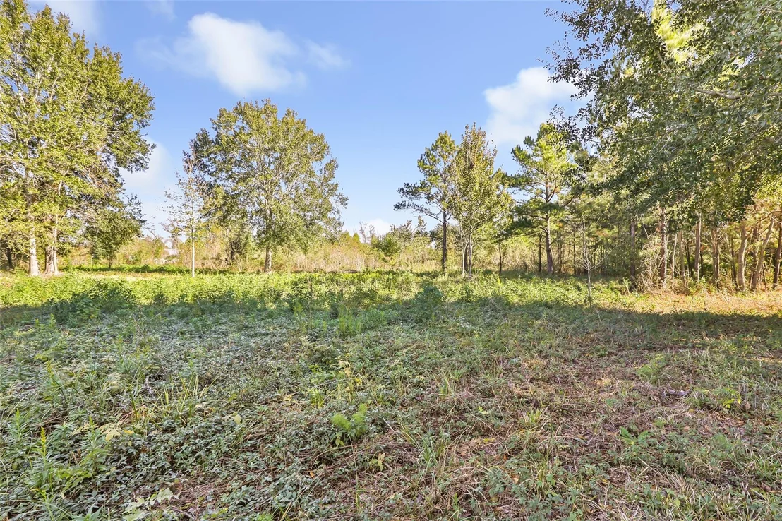 Photo of 576 County Road 614