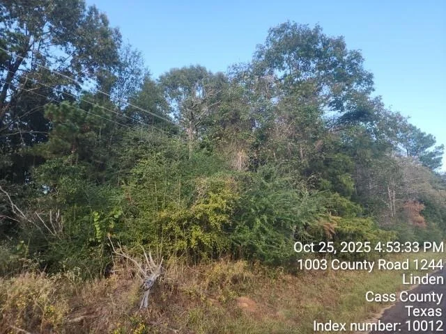 Photo of 938 County Road 1244 Road