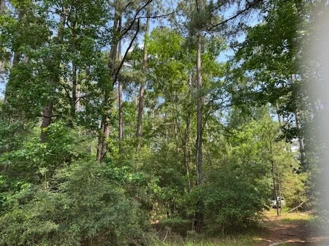 Photo of 91 Meadow Lake Drive