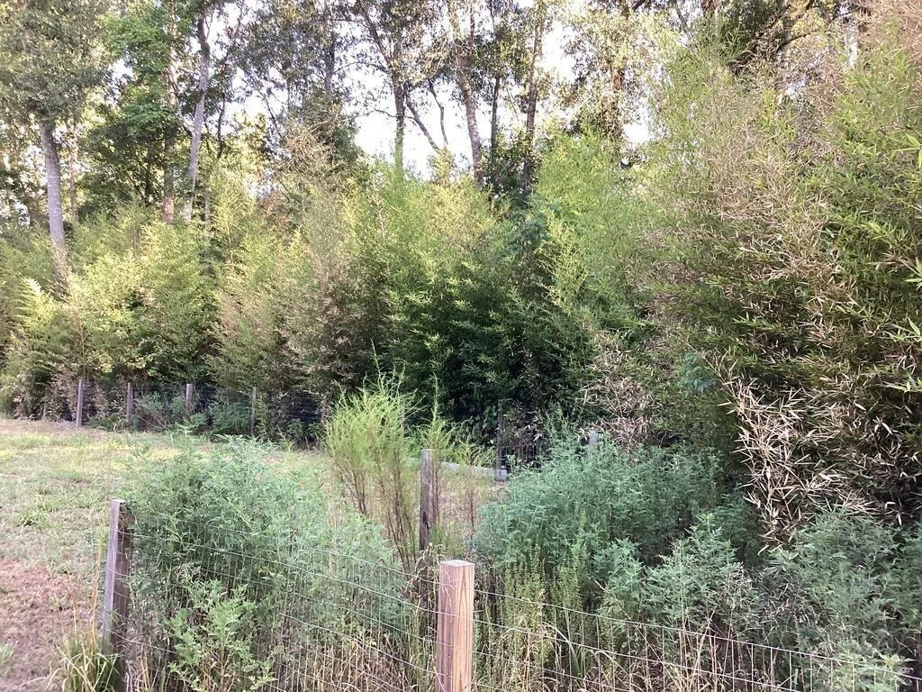 Photo of 1125 County Road 3075