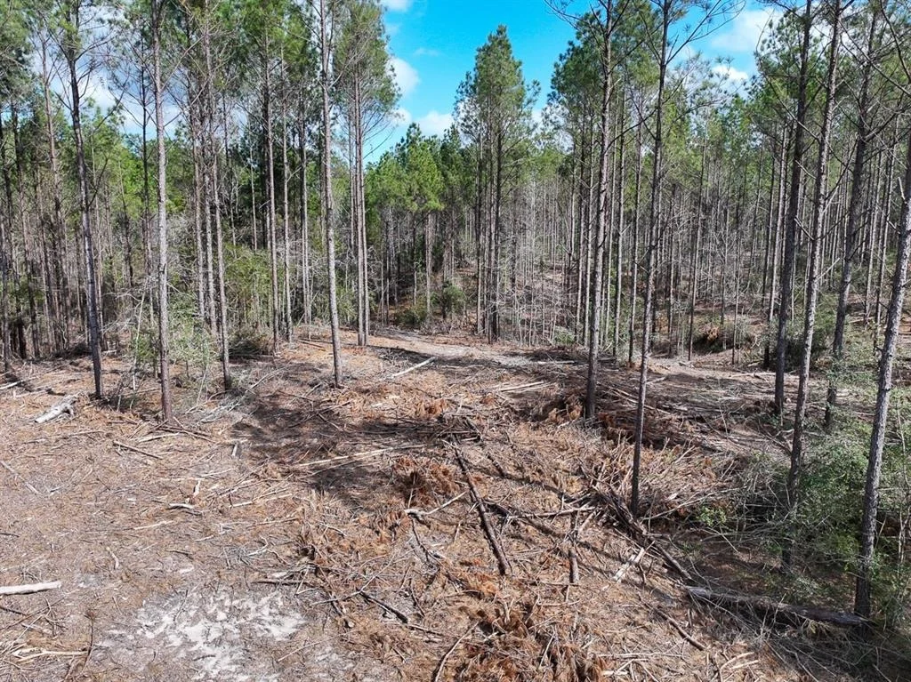 Photo of TBD Off Fm 355