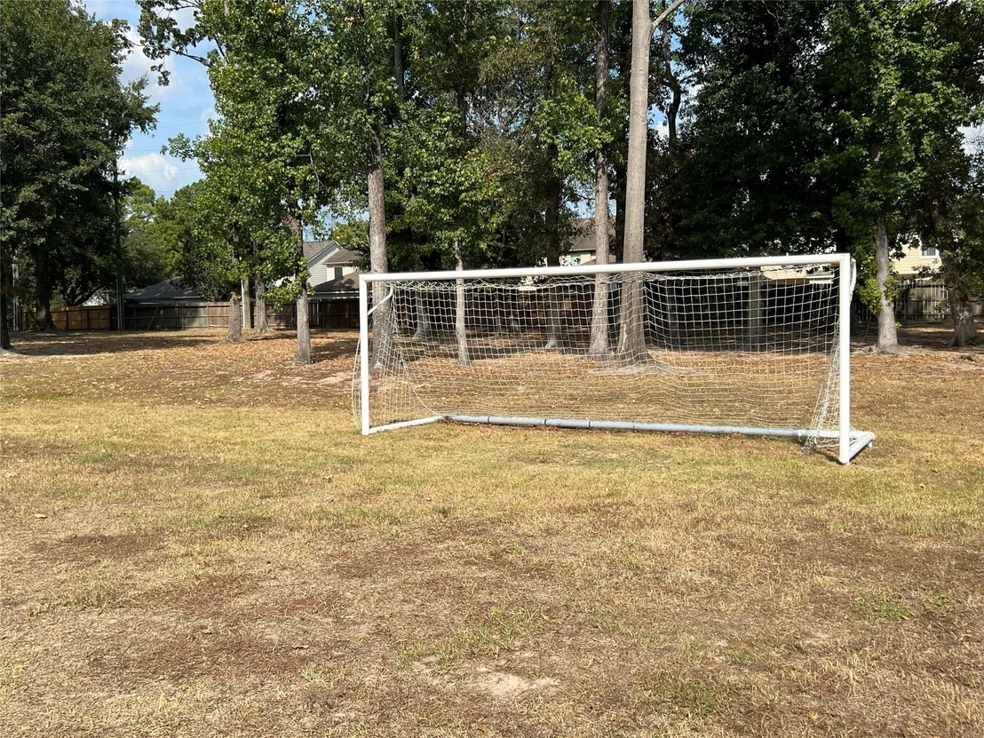 Photo of 30303 Castle Forest Drive