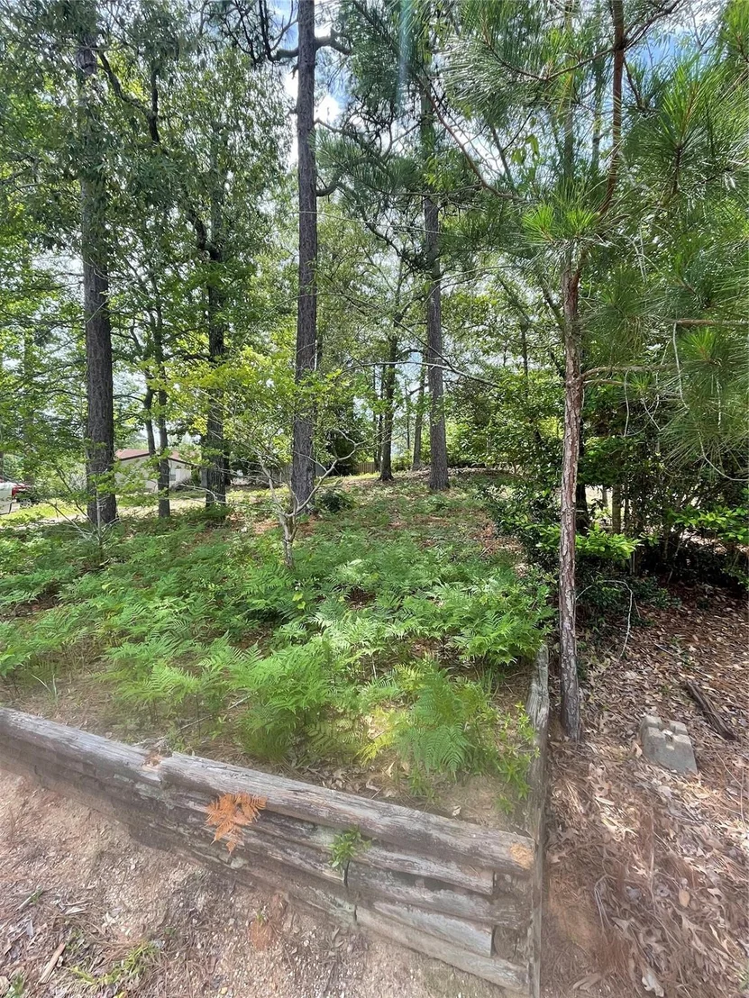 Photo of 203 Wildbriar Drive