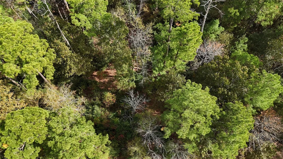 Photo of 160 Nina Trail