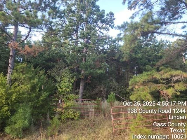 Photo of 938 County Road 1244 Road