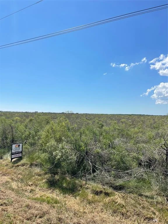 Photo of LOT 170 County Road 299 - Heron Street