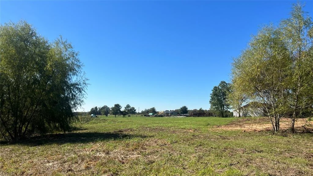 Photo of Lot 2 Cr 319