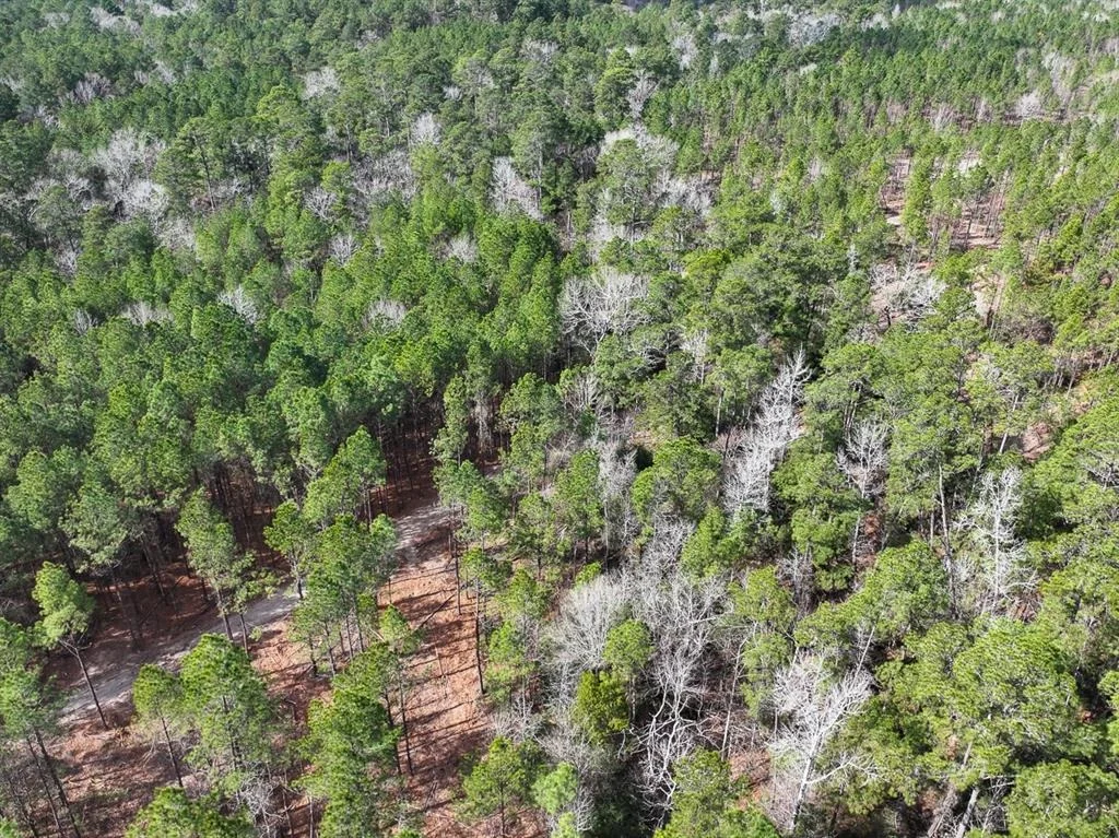 Photo of TBD Off Fm 355