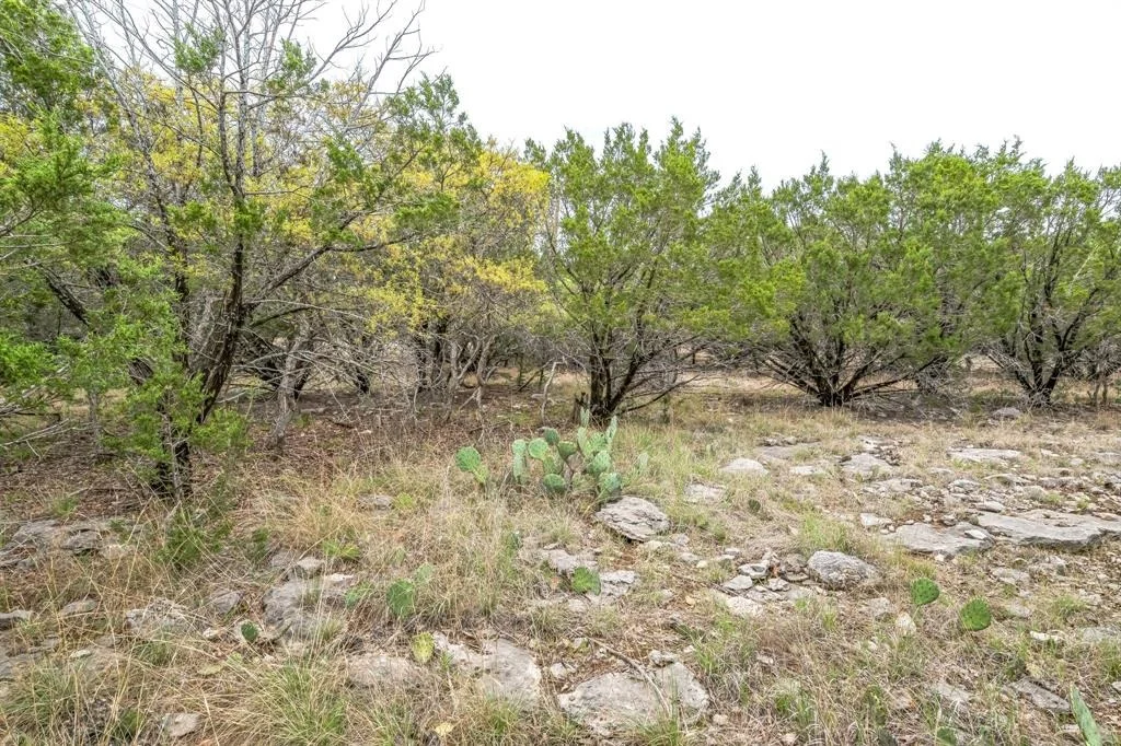 Photo of Lot 52 Carnoustie Drive