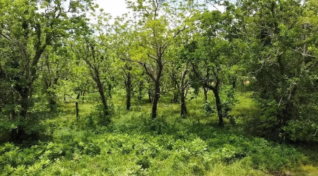 Photo of 0 County Road 36