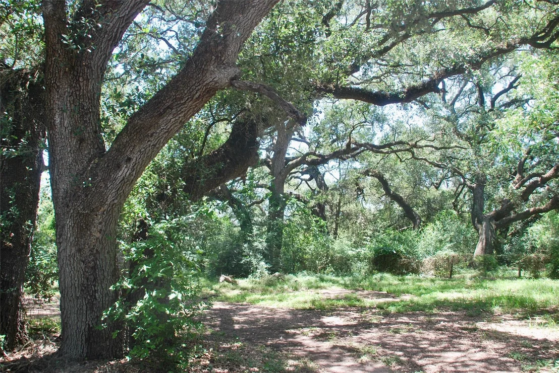 Photo of 29 County Road 77b