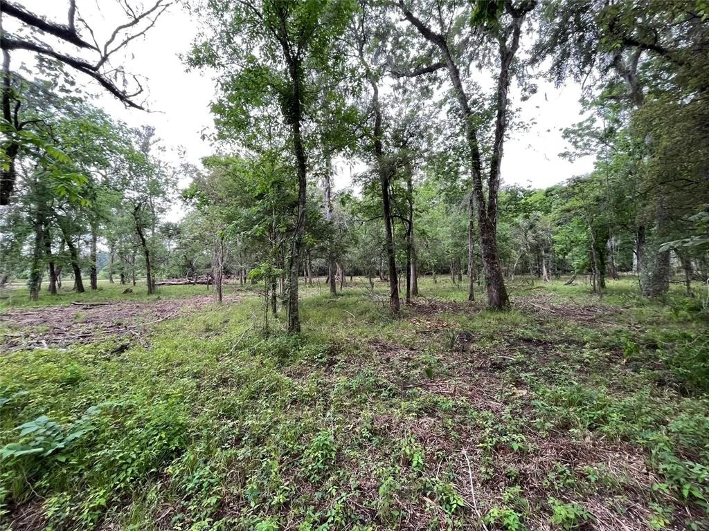 Photo of 2872 Brazoria County Road