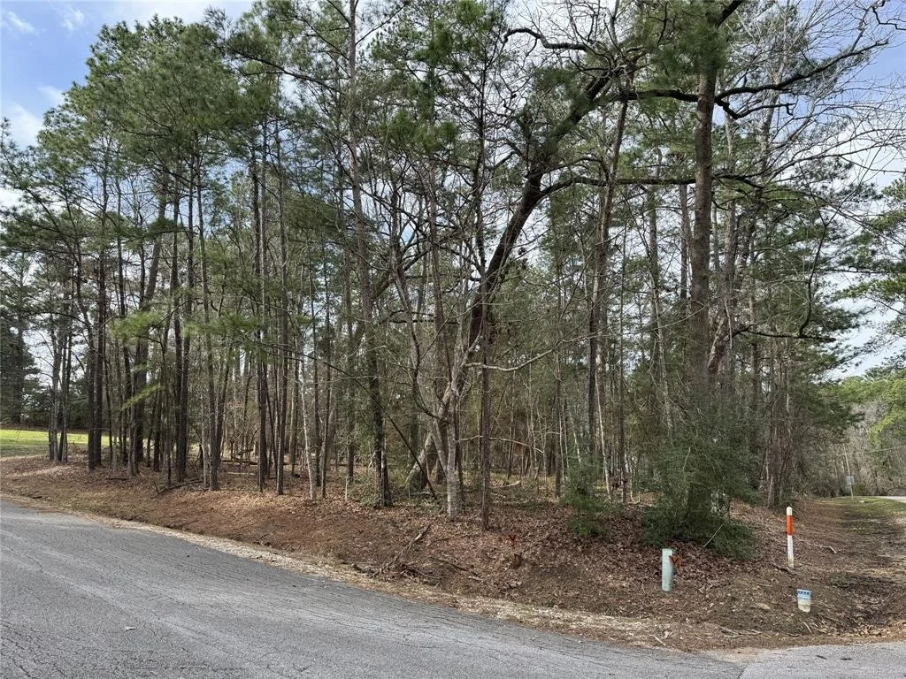 Photo of 91 S Fairway Loop