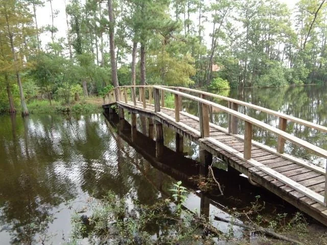 Photo of 600 Bullfrog Lane