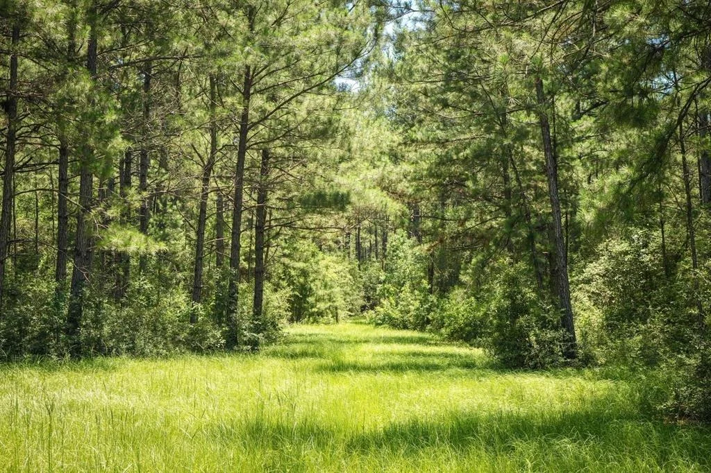 Photo of 850 County Road 4390