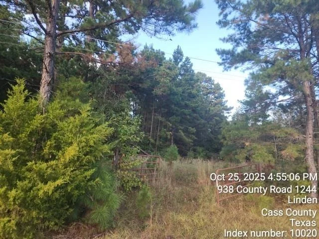 Photo of 938 County Road 1244 Road