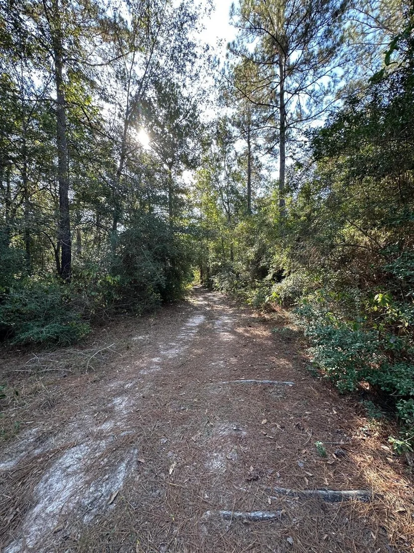 Photo of 8958 N Walker Road