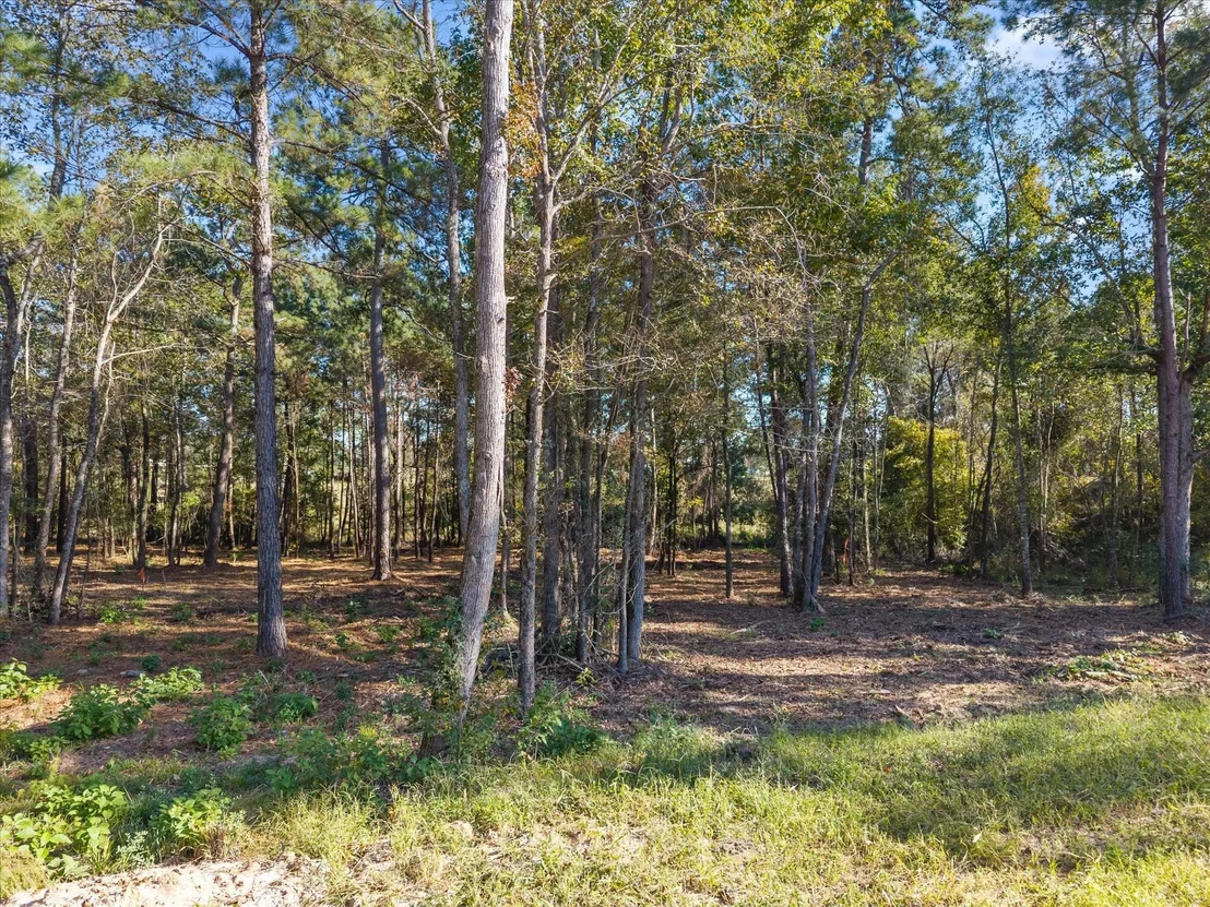 Photo of 195 Bunkhouse Road