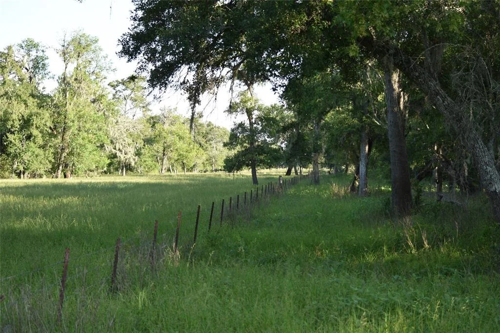 Photo of 5300 U-Pond Drive/County Road 611