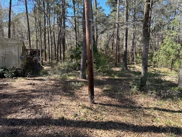 Photo of 15819 Forest Drive