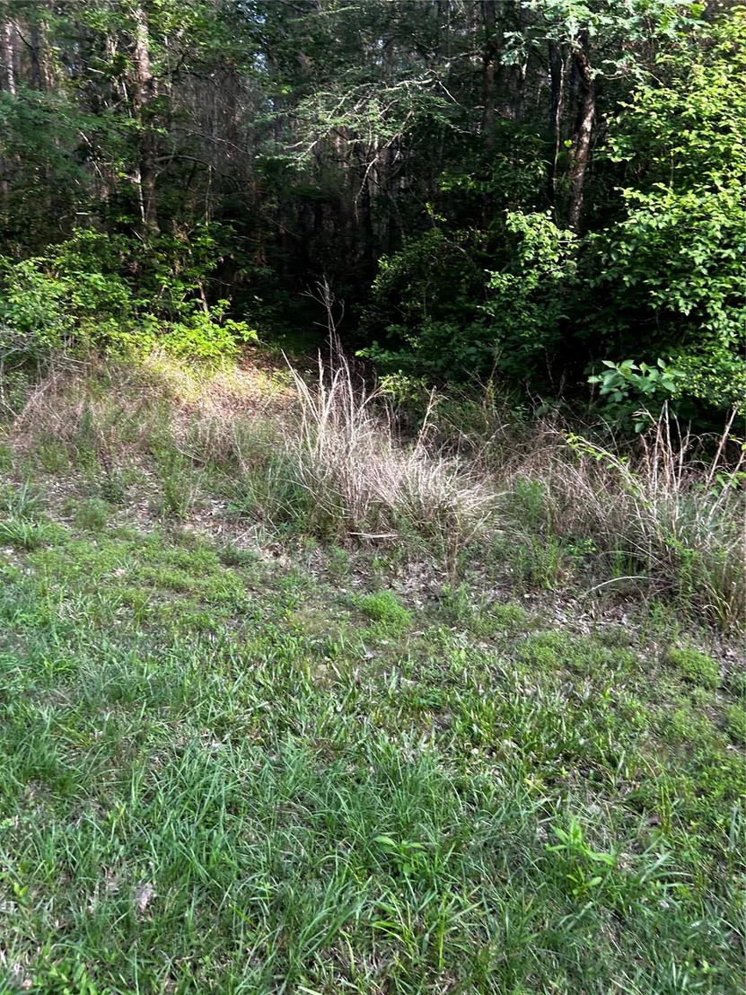 Photo of 0 County Line Road