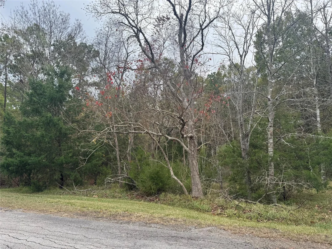 Photo of 22 S Forest Cove Loop