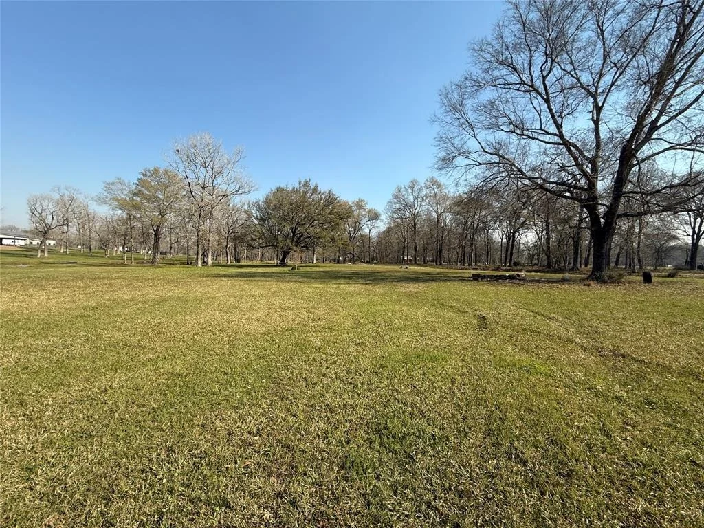 Photo of 398 County Road 2360