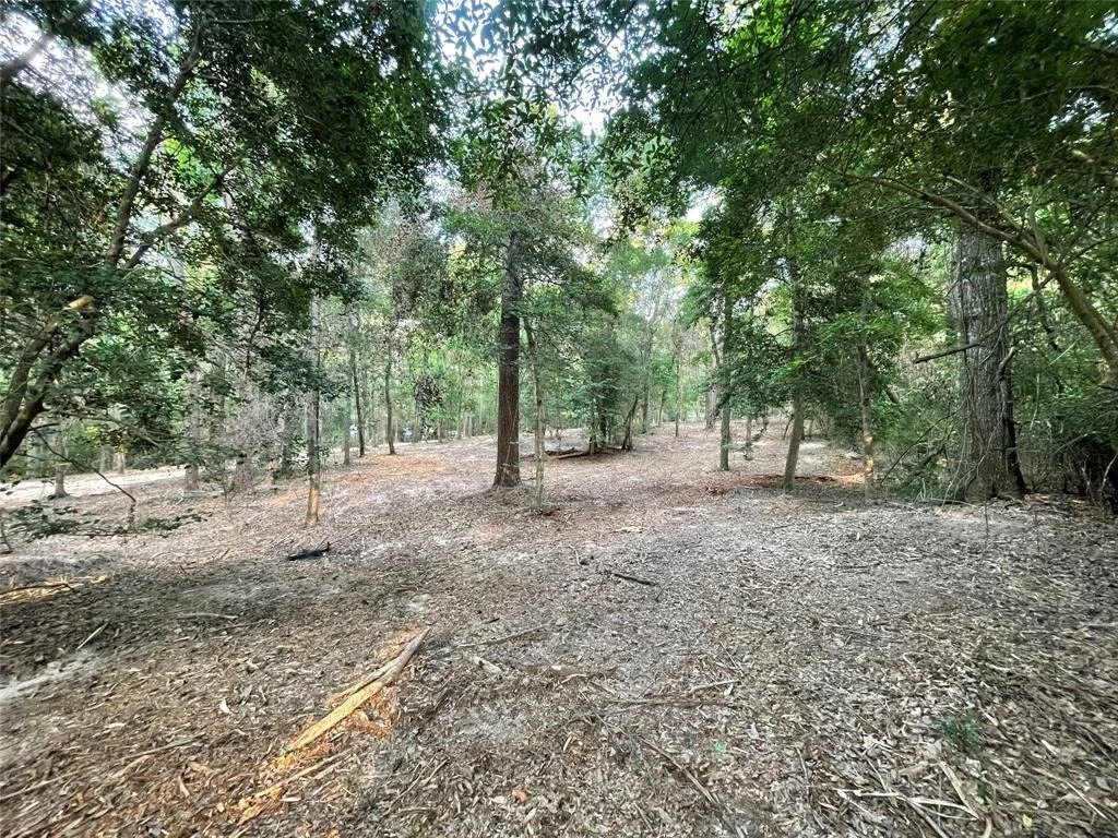 Photo of 11451 White Road