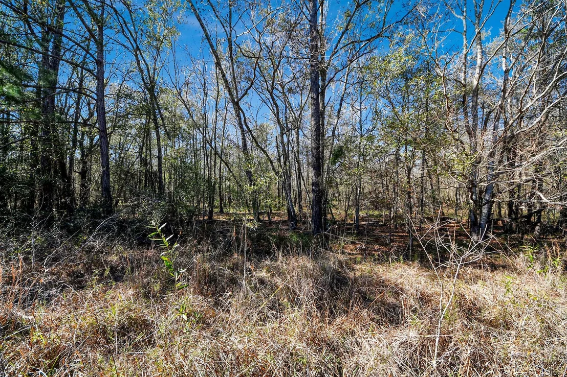 Photo of 0 County Road 6242