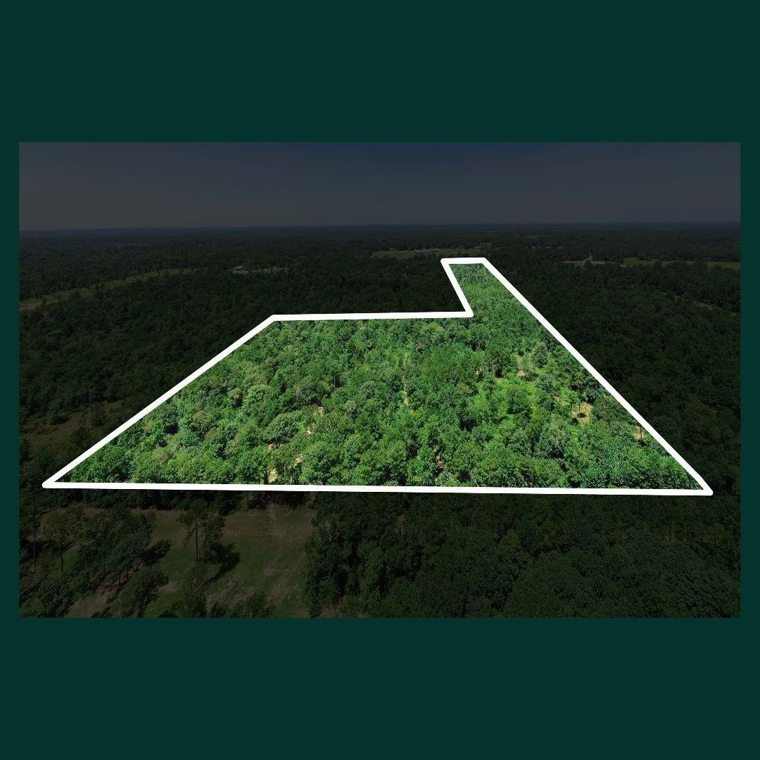 Photo of Lot 4 State Highway 150