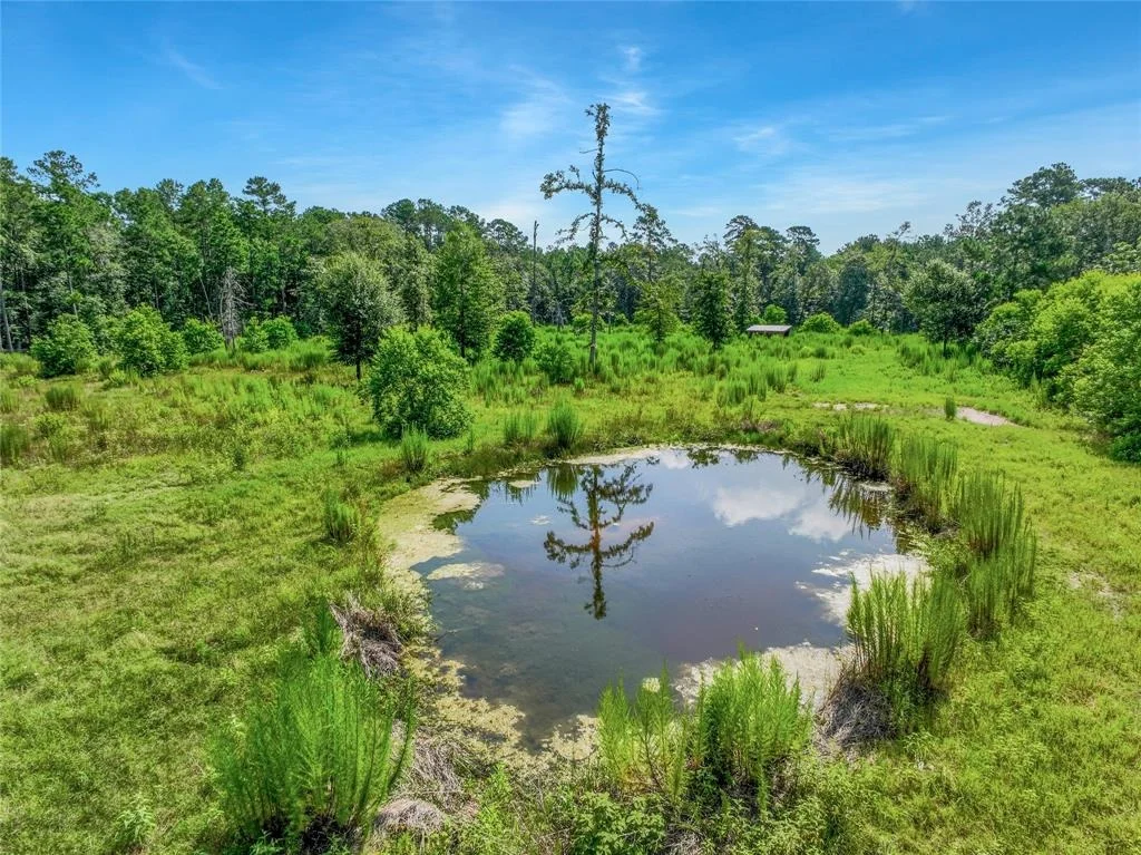Photo of 26402 Clark Road