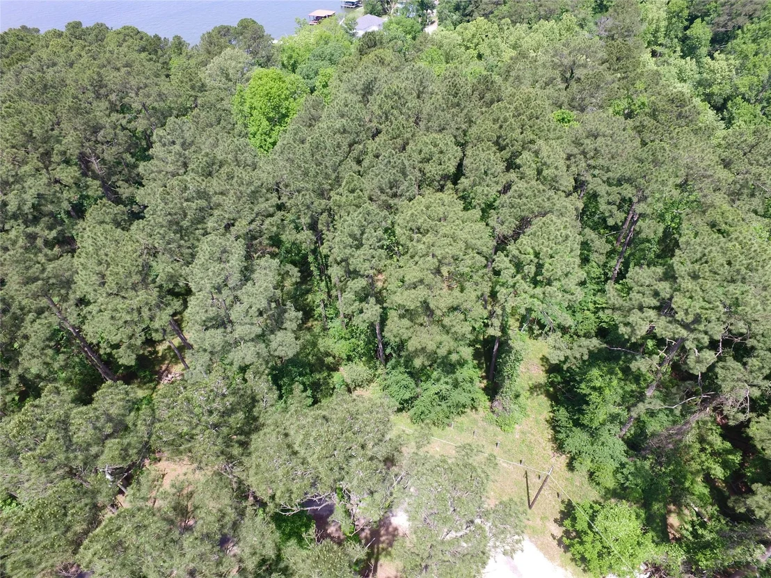 Photo of TBD Cedar