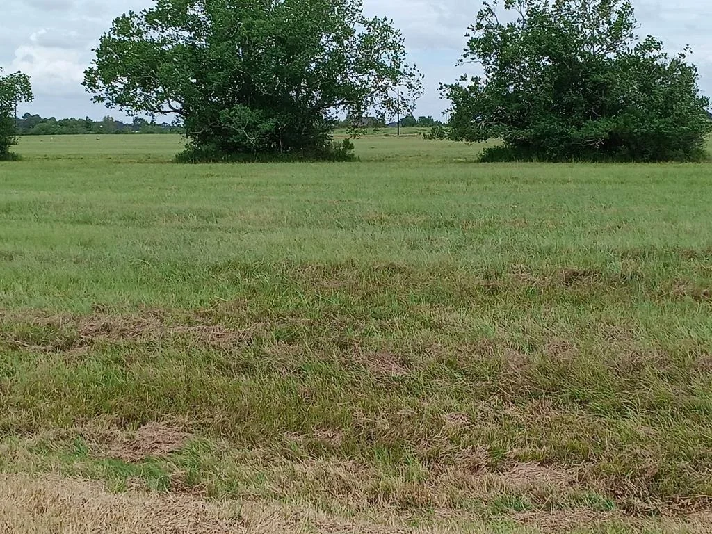 Photo of 00 Brahman Trail