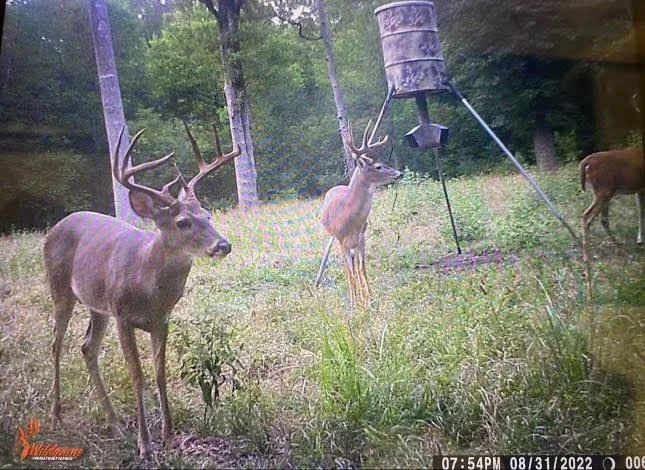Photo of TBD Pr 1350