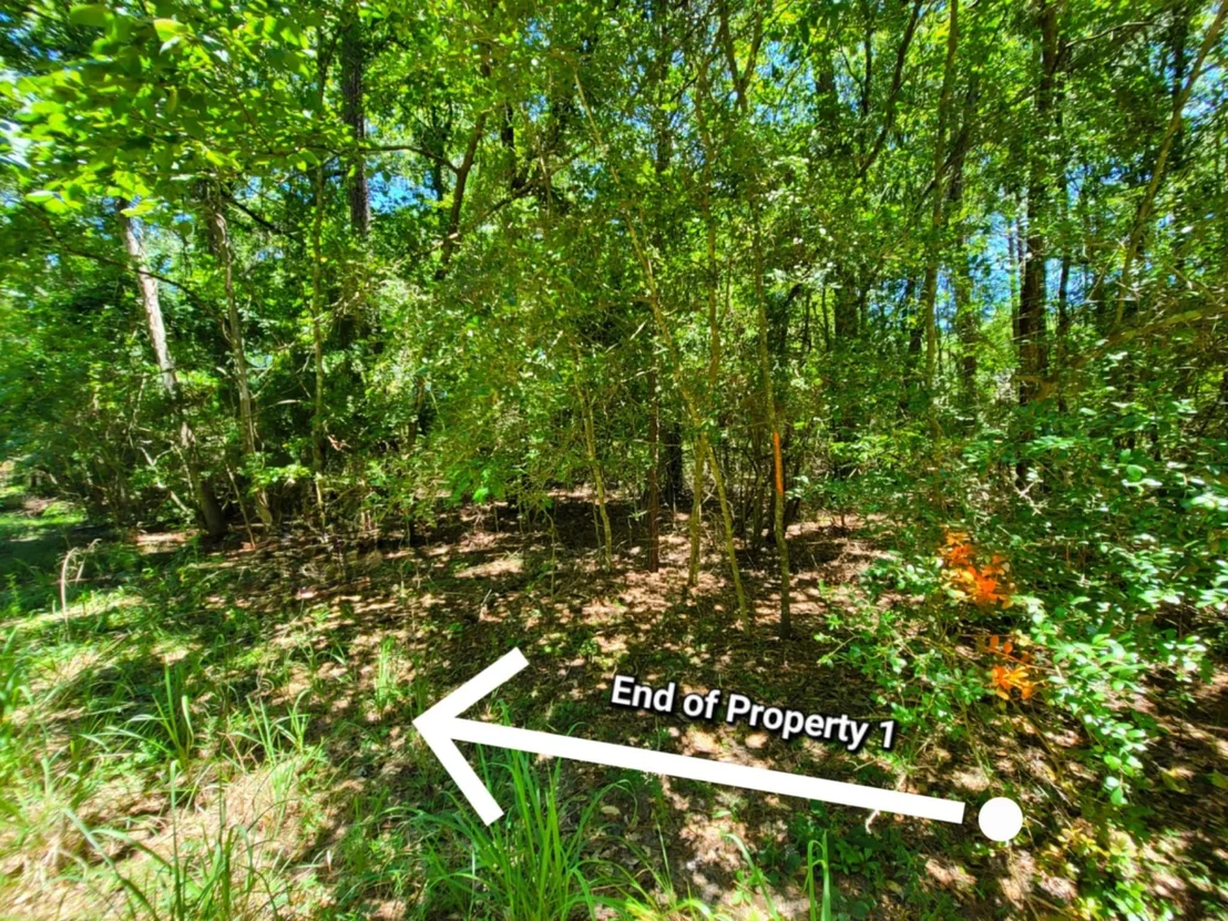Photo of 0 Chestnut Drive