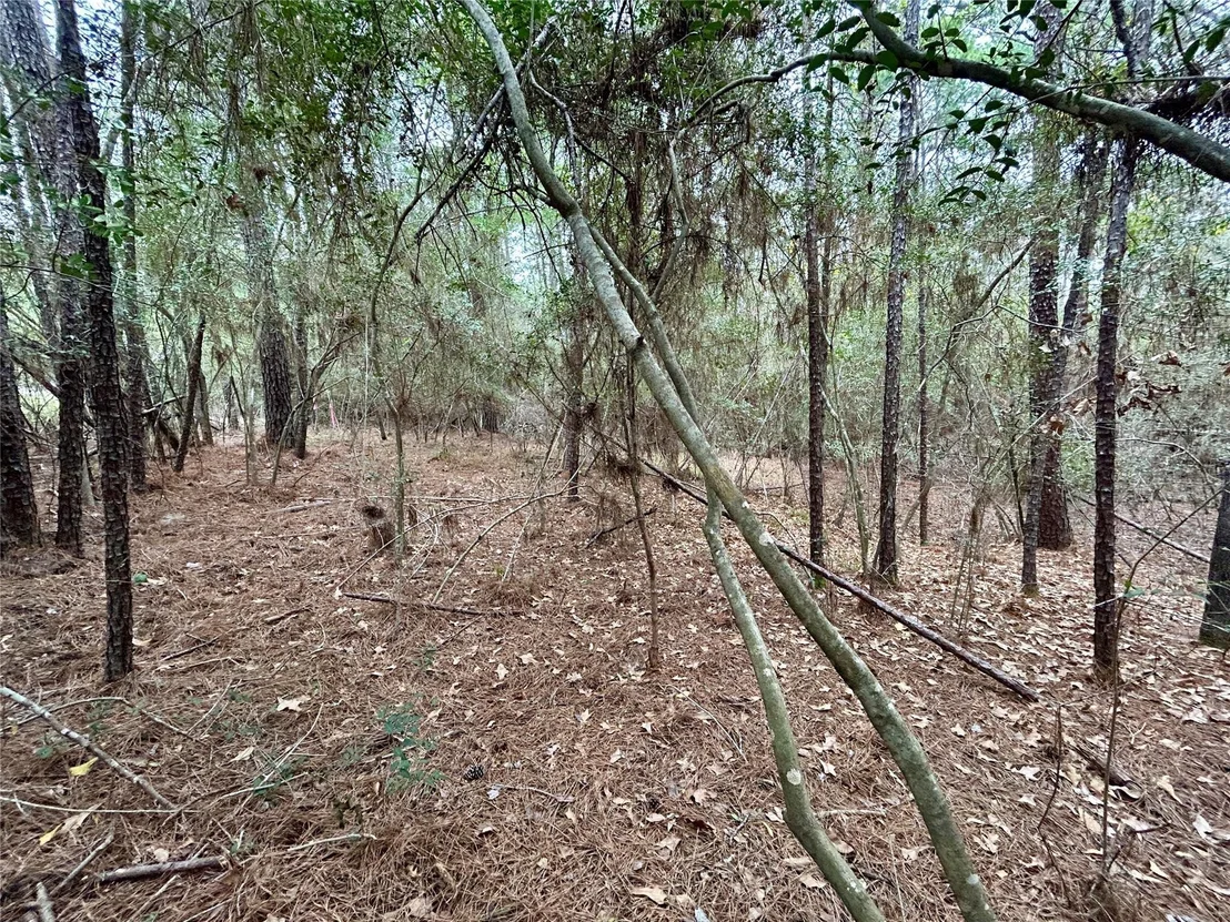 Photo of TBD Parkview Drive