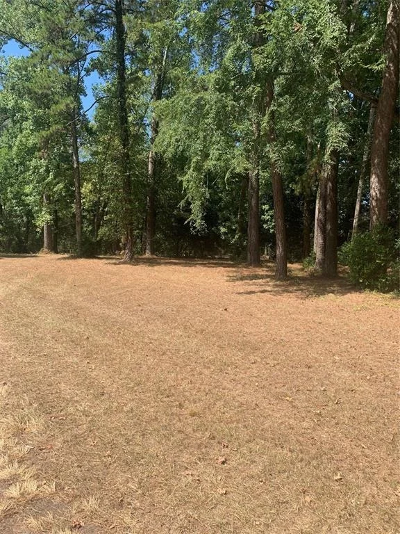 Photo of TBD 1314 Chain Road