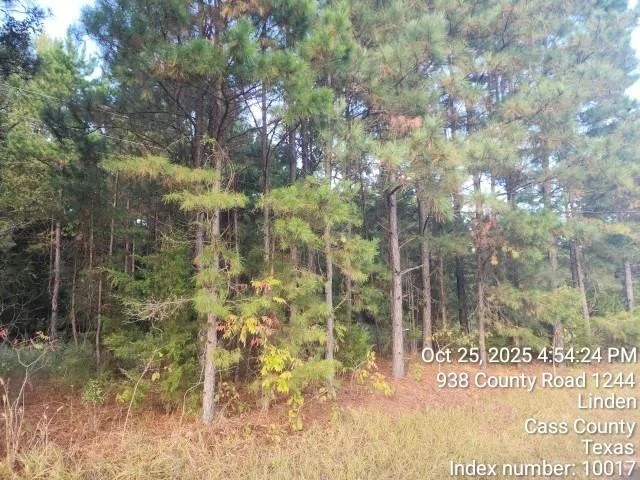Photo of 938 County Road 1244 Road