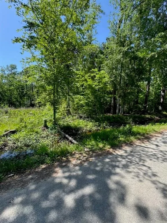 Photo of 166 County Road 3475