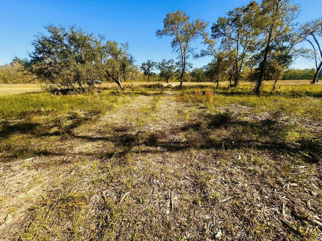 Photo of 32002 Amberjack Drive