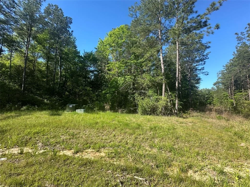 Photo of 15505 Republic Park Trail