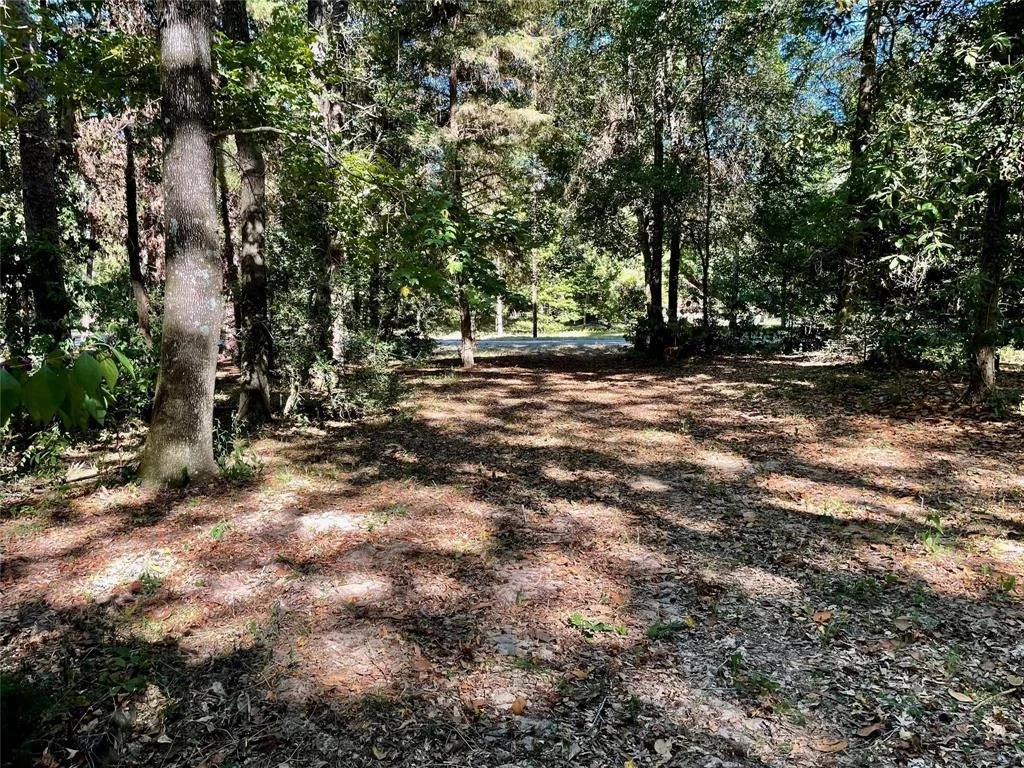 Photo of 11451 White Road