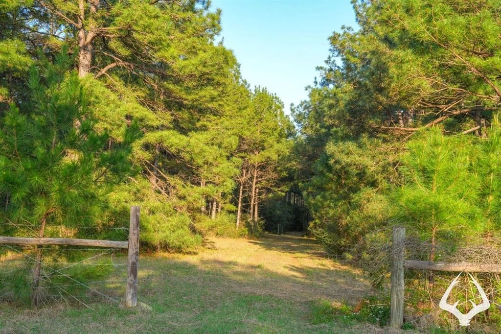 Photo of 850 County Road 4390