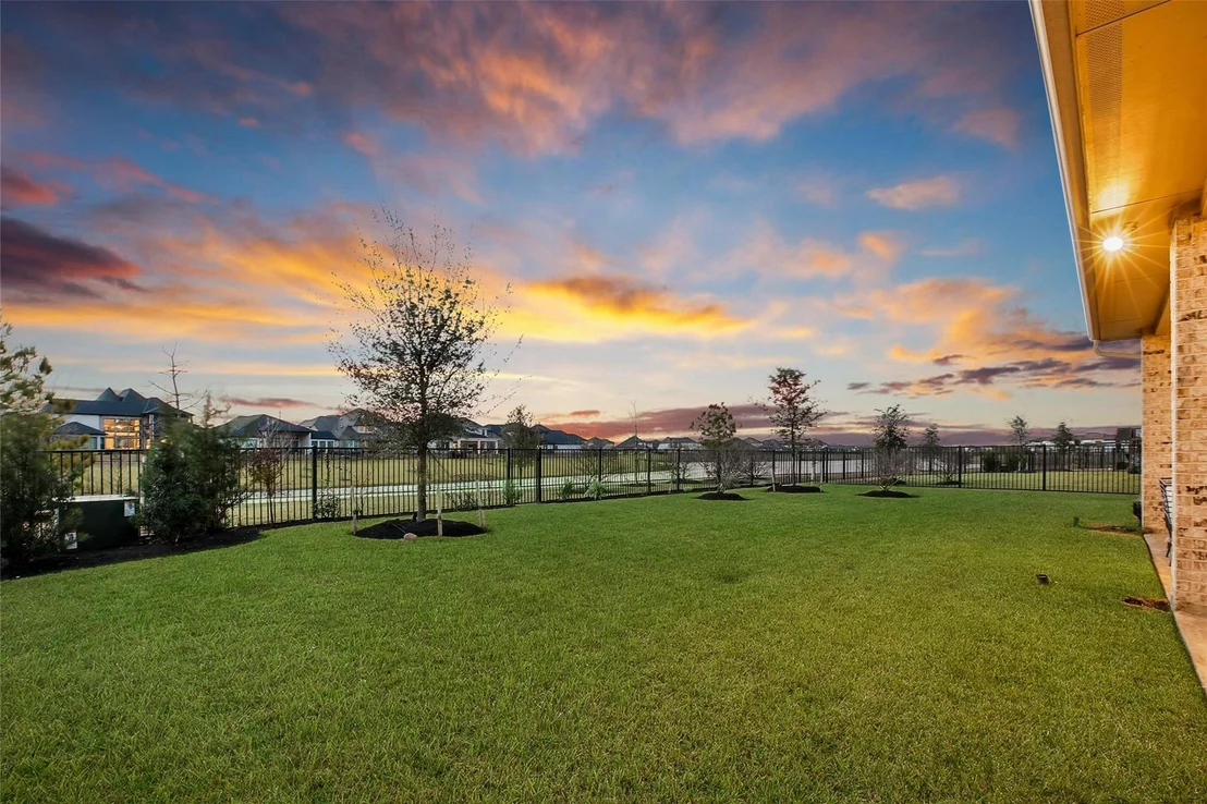 Photo of 11111 Heartleaf Aster Way