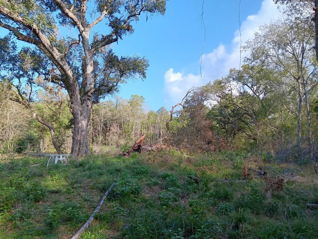 Photo of 8301 Brazos River Road