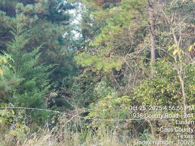 Photo of 938 County Road 1244 Road