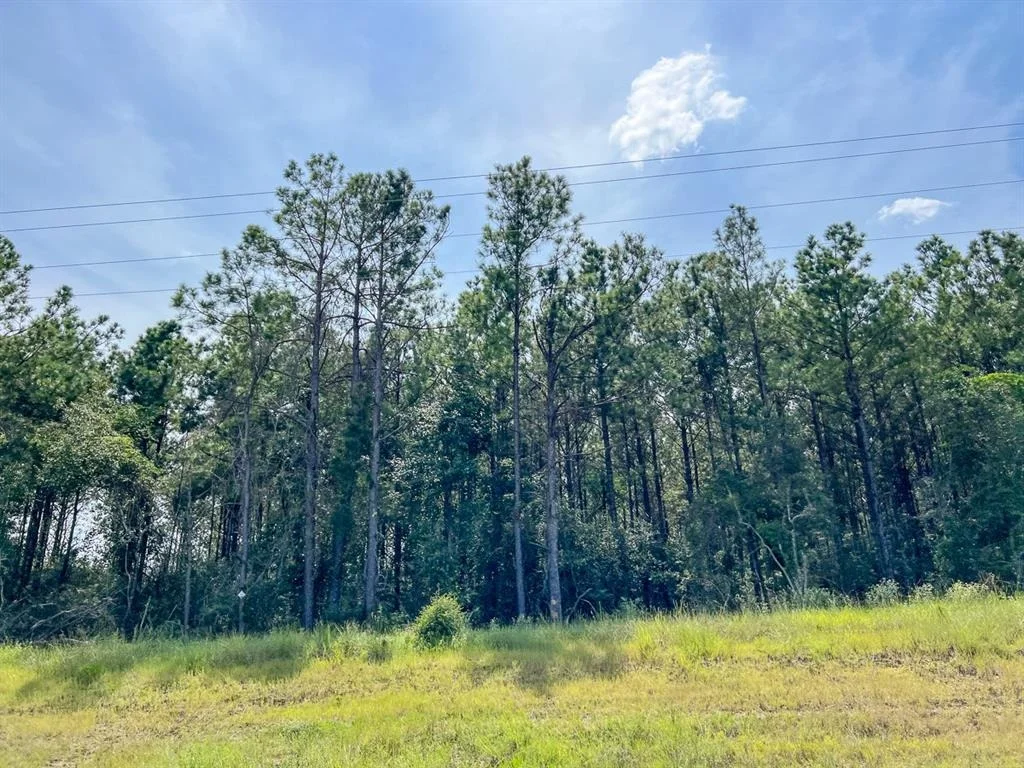 Photo of 01 Highway 96